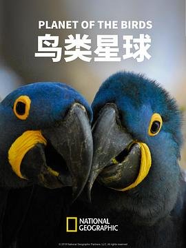 低智商犯罪主演有哪些人