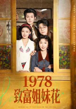 太阳星辰13集在线观看粤语版视频