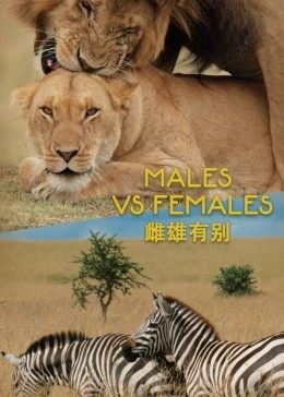 一棵树艾青写的