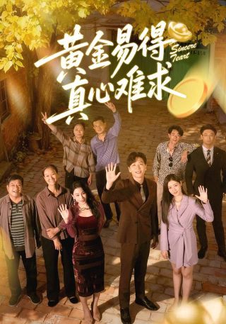 离婚律师电视剧全集优酷播放