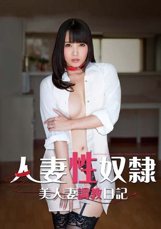 热带雨电视剧演员表名单