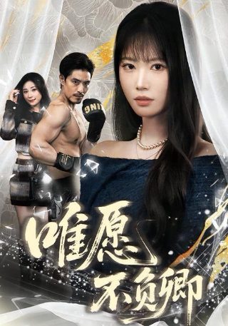 燕子李三张立的全部电视剧