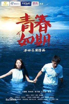 侠岚第四季完整版免费观看电视剧