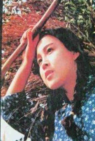 画江湖之无道暴君