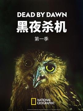 风吹父子心短剧在线看