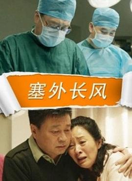 寻访千利休观后感400字