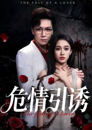迷宫1996完整版百度云