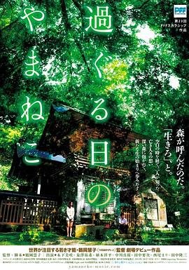 魔法提琴手剧场版 电影