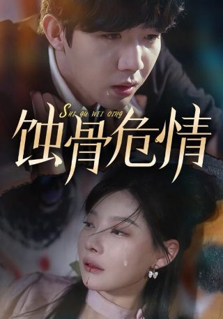 飘雪的日子来看你全集