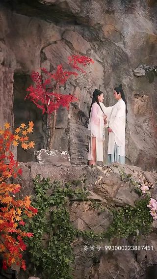 功夫营救免费观看