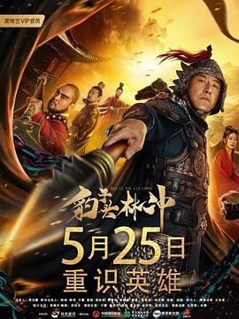 美国电影侠盗