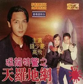 小黑猫壁纸图片