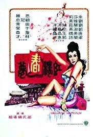 纽约丽人电视剧免费观看全集下载