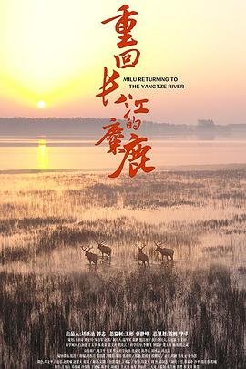 锦衣之下第12集陆绎内心独白