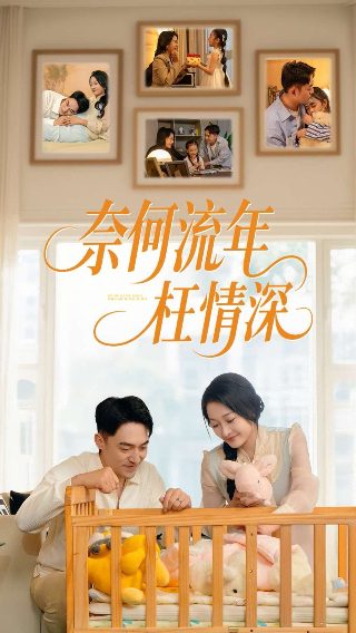 金刚1电影国语版