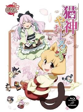 绷带奇缘剧情