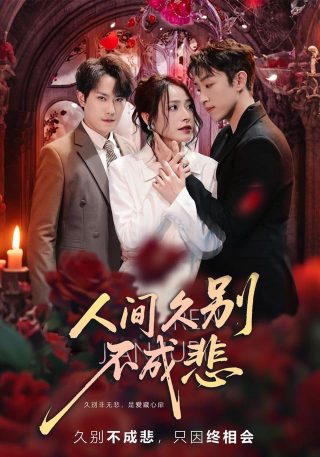 红色电视剧第23集免费观看全集下载视频