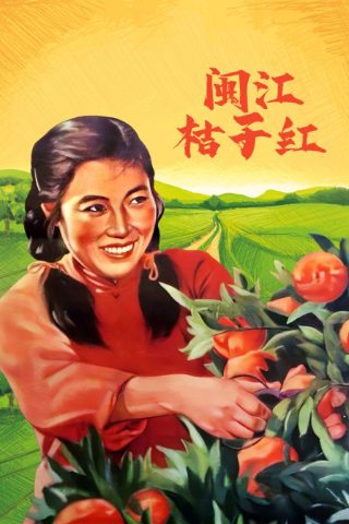 揭密最前线演员表名单大全介绍图片视频下载