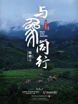 《传说的魔女》电视剧在线观看高清版