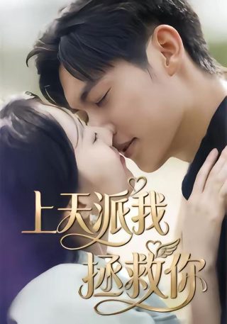绿萝花电视剧全集完整版