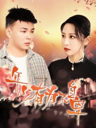 加罗律师第一季电视剧免费观看全集下载