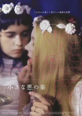 千星传说2电视剧免费观看