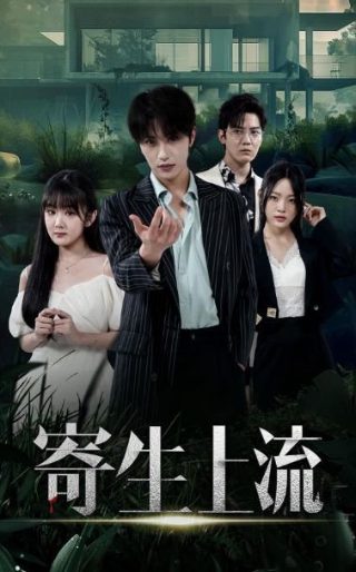 假面骑士铠武第1集爱奇艺免费