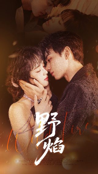 极品女士第一季电视剧免费观看下载全集