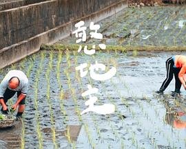 电影神鞭的结局是什么意思啊