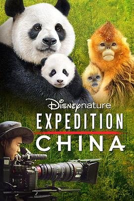 长安少年行高清免费观看