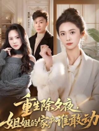 我的老板娘视频