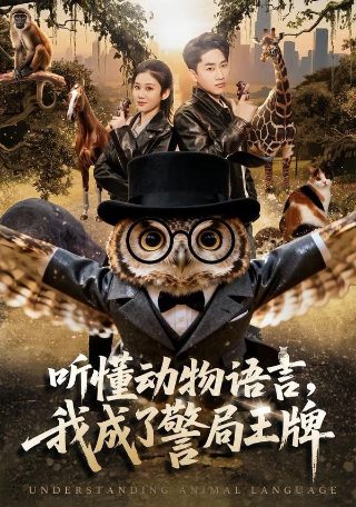 电视剧《不得不爱》免费观看高清
