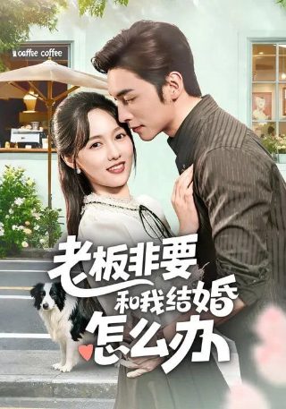 《相见欢》台湾电影在线观看免费高清版