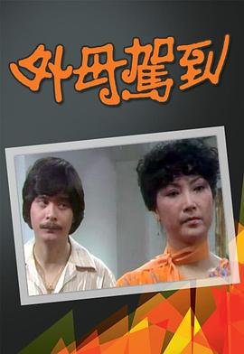 燕赵刑警第5集演员表大全