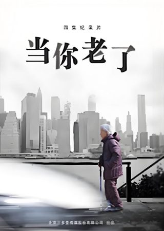 暮色围城电视剧在线观看全集免费