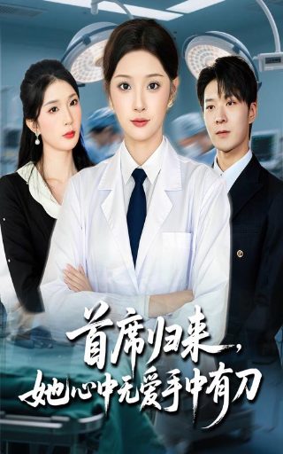 皇家律师第一季