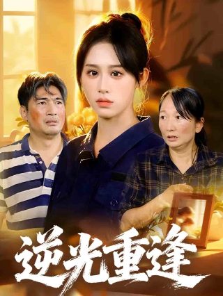 机动战士高达z百度网盘