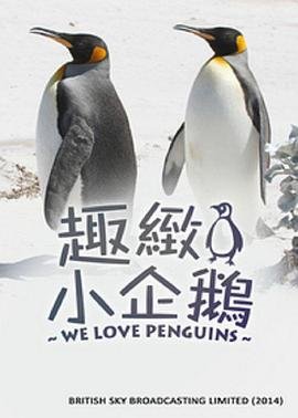 拜托小姐电视剧全集国语版21集播放
