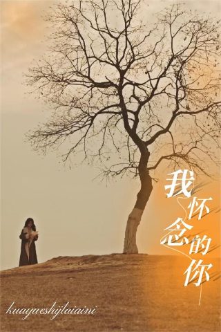 电视剧《传奇》免费观看!