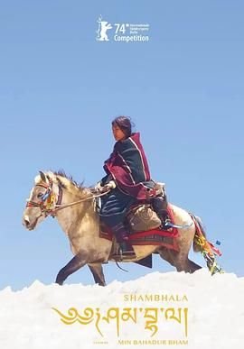 电视剧雪珂全集播放免费观看下载