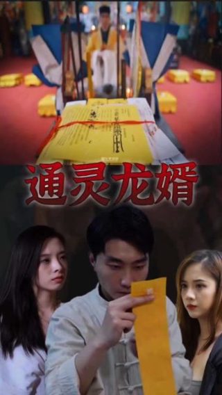 动画东京猫猫在线观看中文版全集