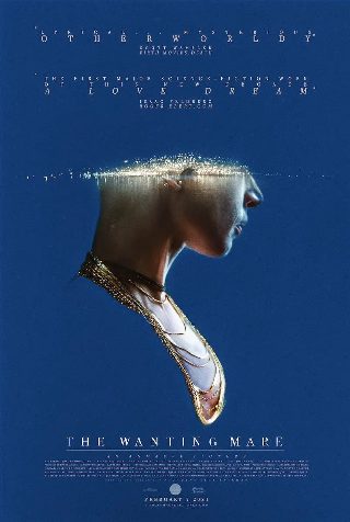 cctv追梦电视剧直播免费观看全集