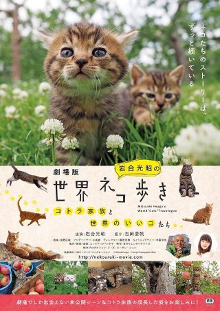 隐形人生下载百度云