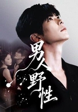 雪花女神龙第五集免费观看高清