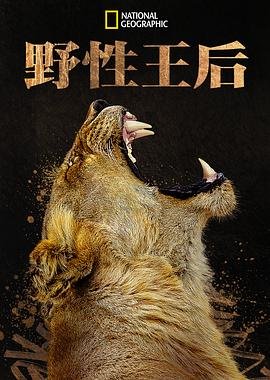 左岸电视剧全集免费观看高清