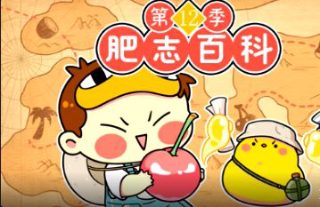 中国红妆综艺最新更新