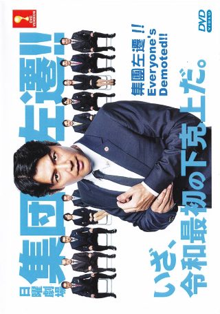 《枪花》电视剧剧情介绍全集