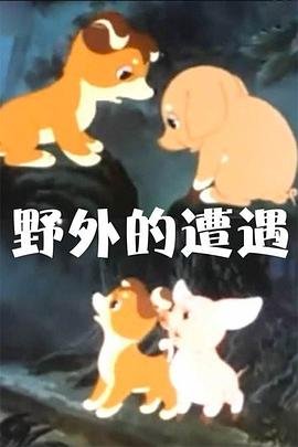 斗破苍穹第43集免费观看