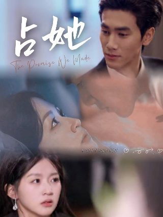 双重任务简介50字内容概括怎么写的