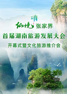 消失的330公车2